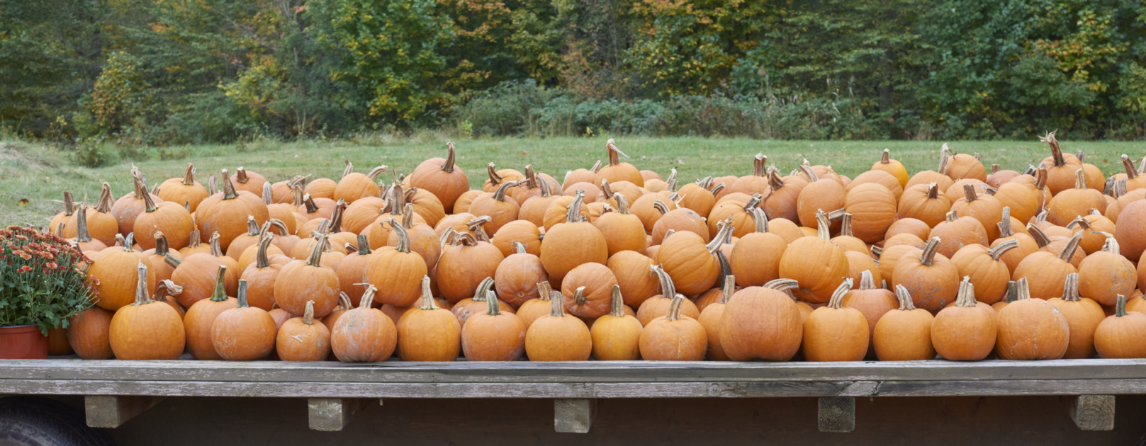 The Hiram House 46th. Annual Pumpkin Festival at Hiram House Camp