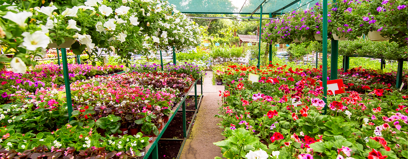 Home - Redmonds Garden Center